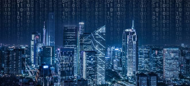 Validis Insights