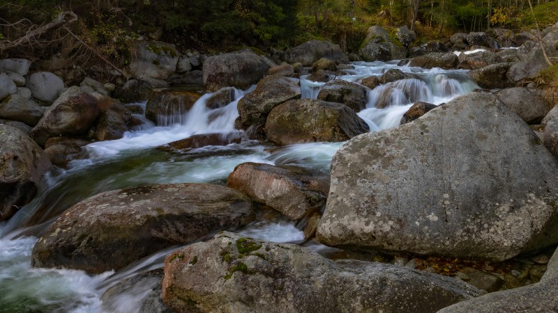 Biodiversity loss could threaten the global GDP: Why nature-based financing is essential
