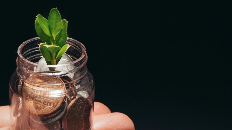What sustainability-linked bank accounts are out there?