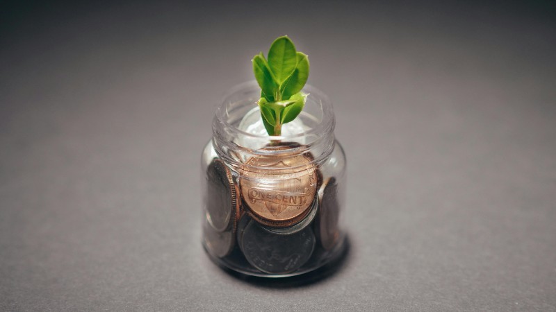 5 sustainable-focused fintechs you should know about