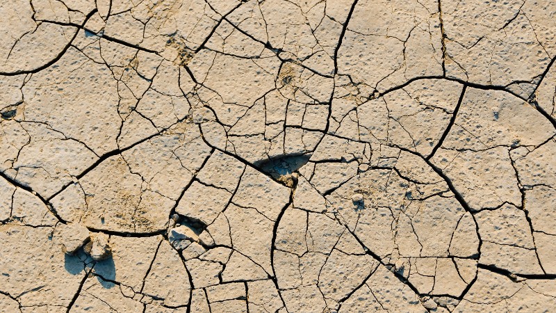 The AI energy crisis: Why chatbots are using up our drinking water