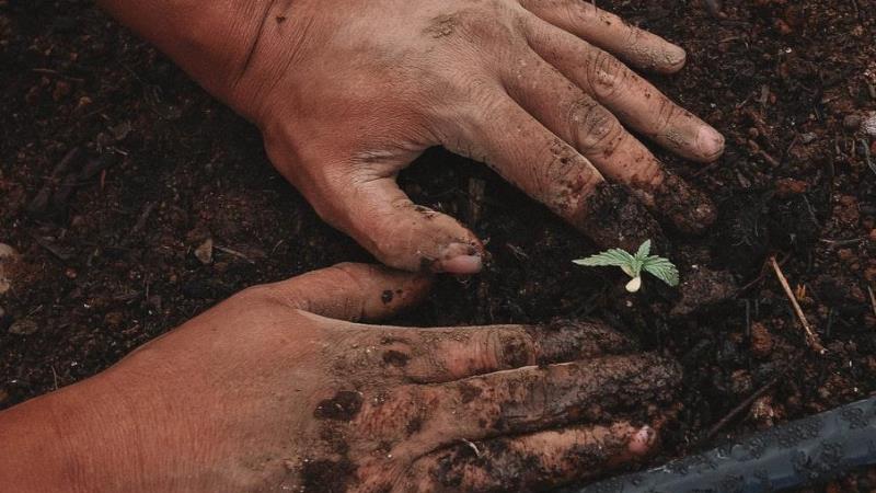Checking the pulse of the UK’s purpose-driven banking ecosystem