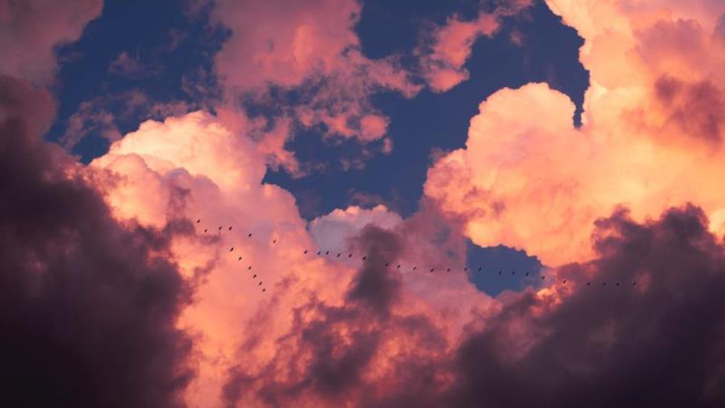 Cloud migration: What is the best and most secure route to take?