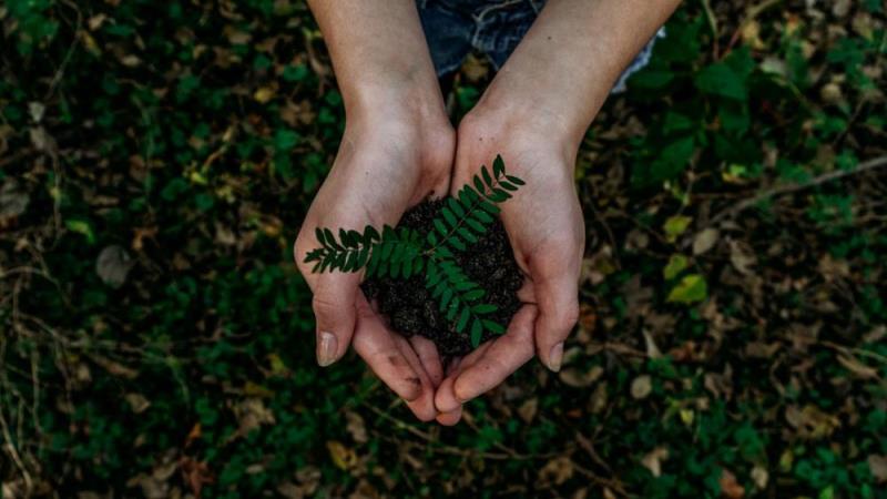 Sustainable finance: how can banks and fintechs make greener customer decisions?