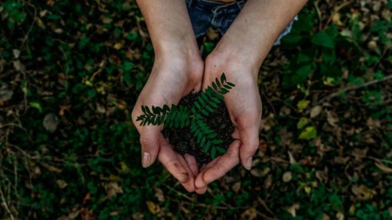 Sustainable finance: Delivering meaningful change requires operational change
