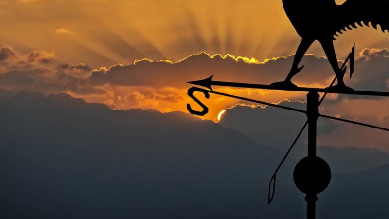 The future of wealth management: The disruptive forces shaping the industry