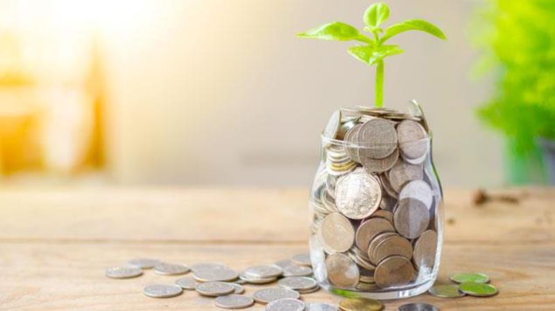 Pensions for the Planet