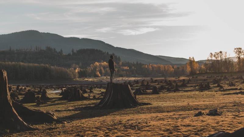 The Future of ESGTech: Goal 15 - Life on land