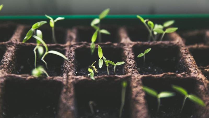 EU Taxonomy - A gamechanger for Sustainable Finance