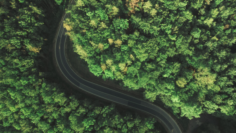 Road to Net Zero: The clock is ticking for financial services leaders