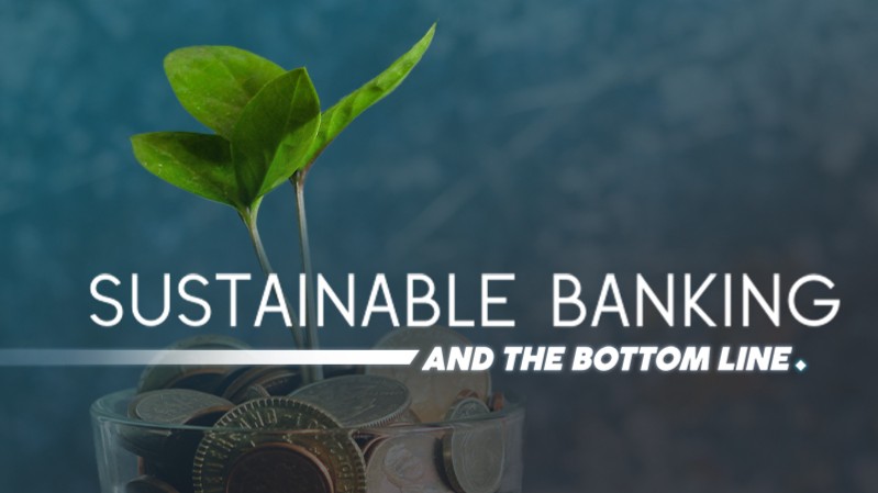 How standardised reporting frameworks can clarify greenwashing claims