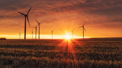 COP26: Triodos targets net zero by 2035 – and encourages peers to follow suit