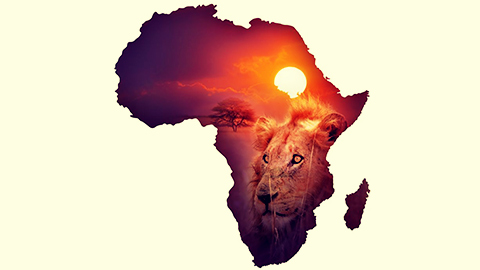 Standard Bank picks Volante for Africa-wide payments overhaul