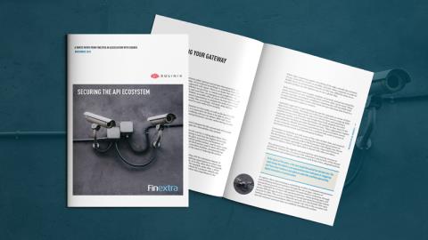 Securing the API Ecosystem