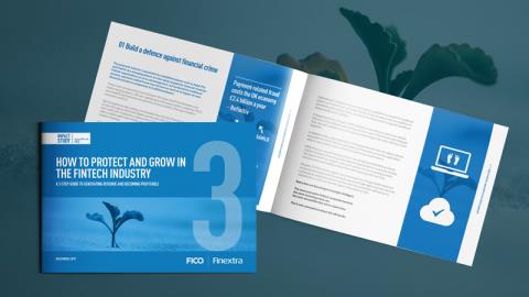 How to Protect and Grow in the Fintech Industry