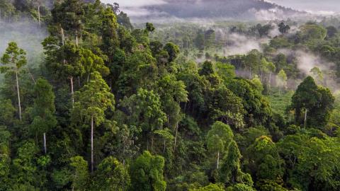 Creating green jobs through biodiversity conservation: Tehanu AI’s pilot project