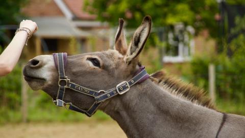 Savings accounts see huge surge in mule-linked activity