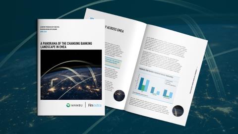A Panorama of the Changing Banking Landscape in EMEA