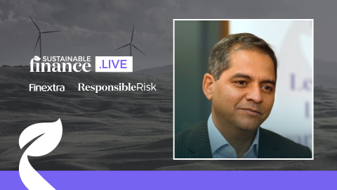 Sustainability strategies within Financial Institutions