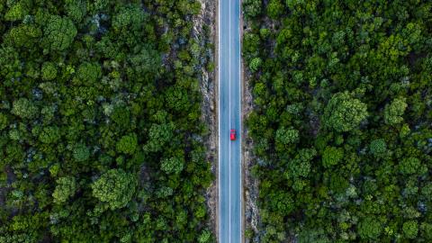 Carbonplace and Visa team on carbon credit transfer pilot