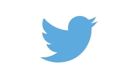 Atom Bank quits Twitter as Musk turns on Fauci