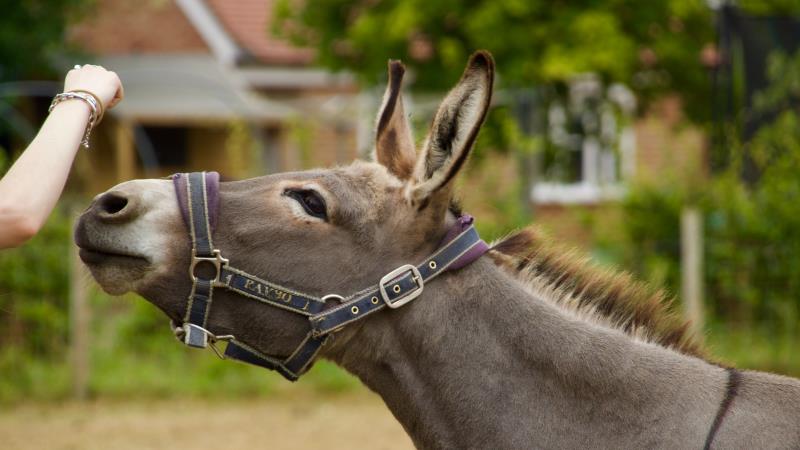 Savings accounts see huge surge in mule-linked activity