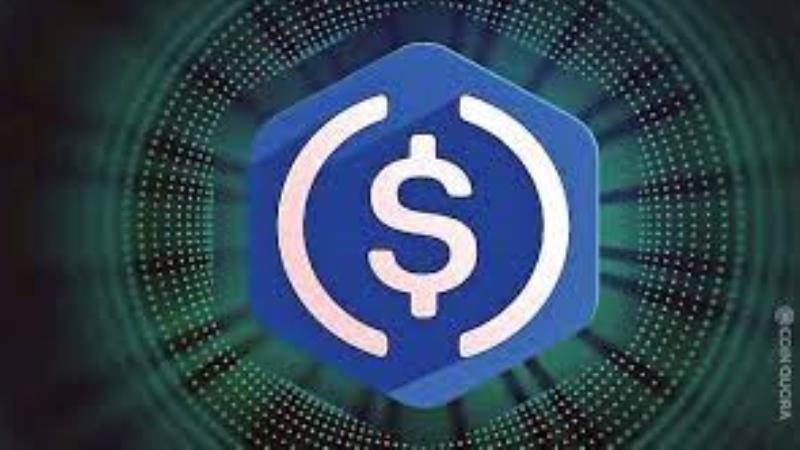 FIS to integrate with Circle for USDC payments